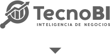 TecnoBI_logo_bn